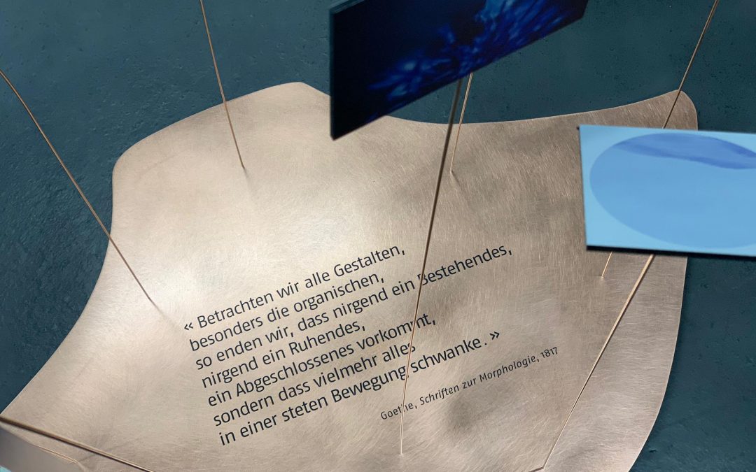 METAMORPHOSEN – Musikalische Lesung
