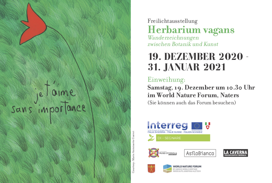 Herbarium Vagans – Wanderzeichnungen zwischen Botanik und Kunst