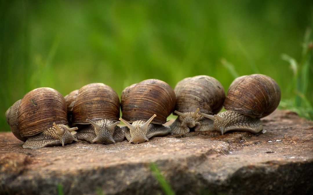 Kindernachmittag «Total aus dem Häuschen»