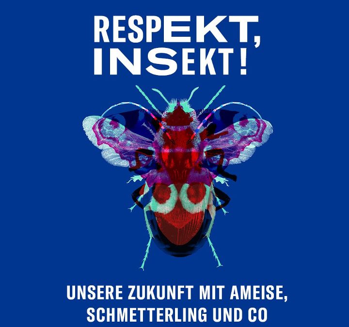 Respekt, Insekt!